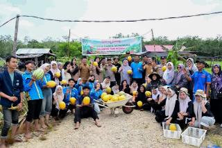 Wabup Bengkalis Panen Semangka Bersama Petani Milenial